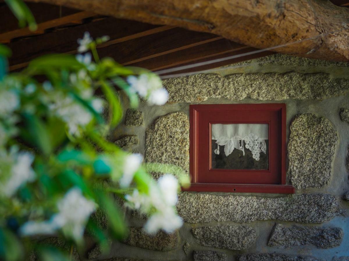 סואז'ו Casa Das Videiras מראה חיצוני תמונה